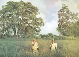 Thumbnail image for Lost in the Meadow Mix